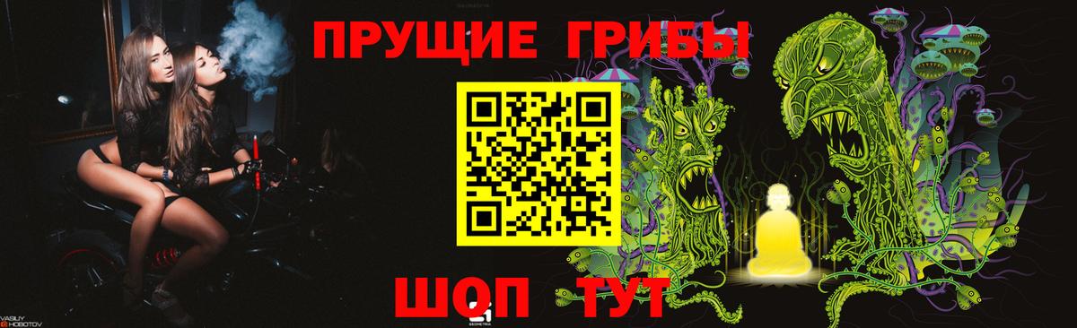 Псилоцибиновые грибы MAGIC MUSHROOMS Гусиноозёрск