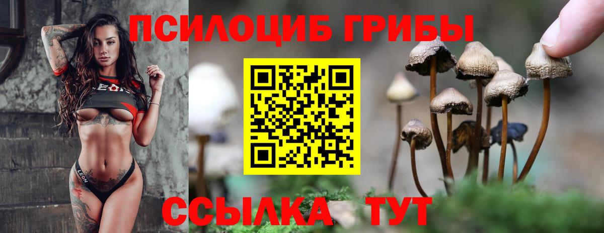 Галлюциногенные грибы MAGIC MUSHROOMS  Гусиноозёрск  магазин продажи   Галлюциногенные грибы Magic Shrooms 