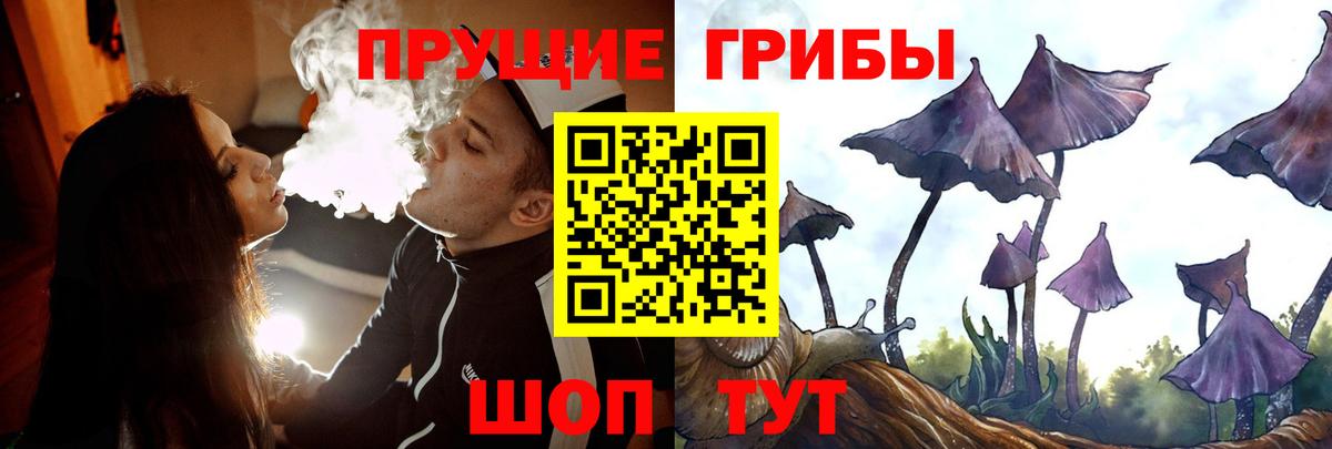 Галлюциногенные грибы Magic Shrooms  Псилоцибиновые грибы Psilocybe  Гусиноозёрск  Вход с VPN 